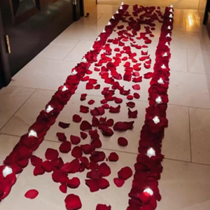 CANDLE ENTRY WITH ROSE PETALS